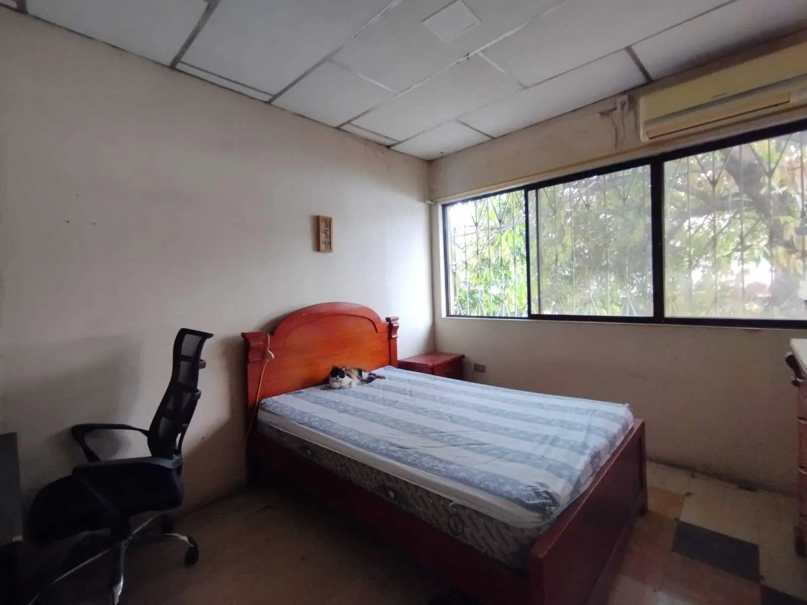 Propiedad Comercial Bodega Suites | Ideal para Empresa o Proyecto Rentero VicY