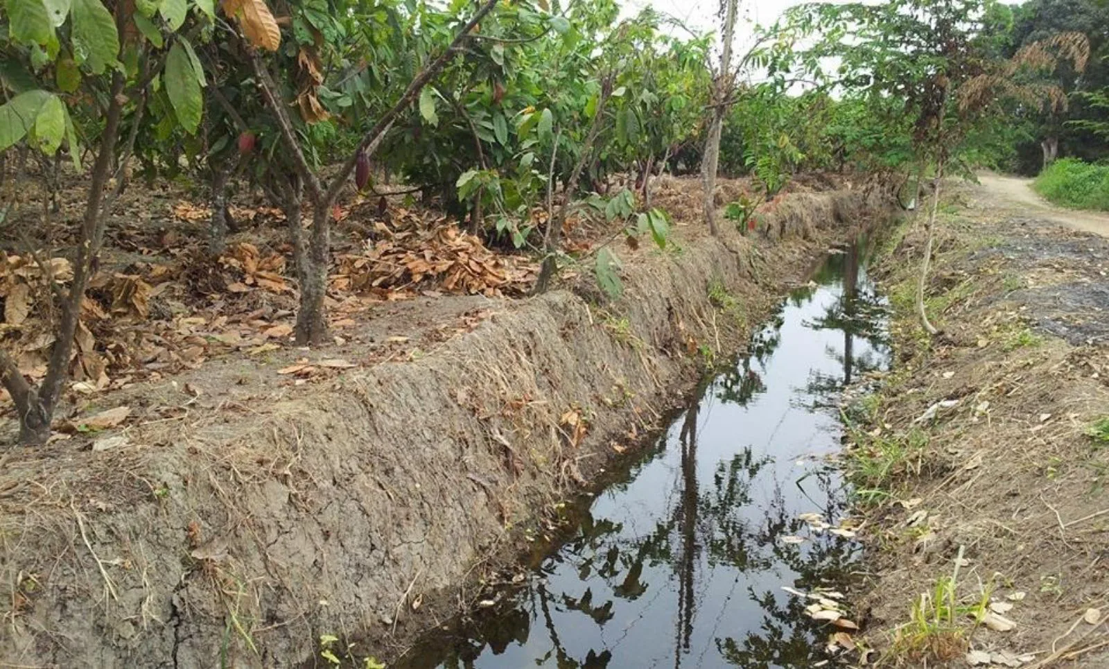 Vendo terreno agrícola en Milagro vía a Naranjito, IngS.