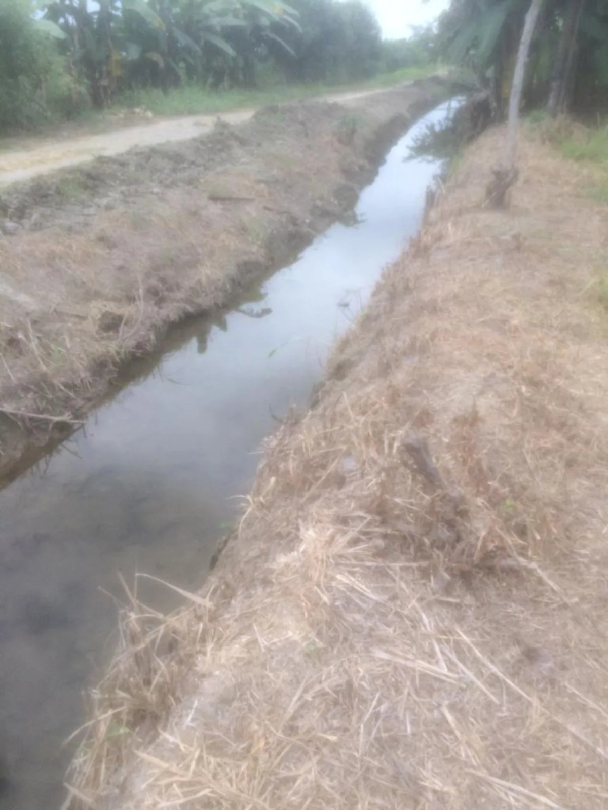 Vendo terreno agrícola en Milagro vía a Naranjito, IngS.