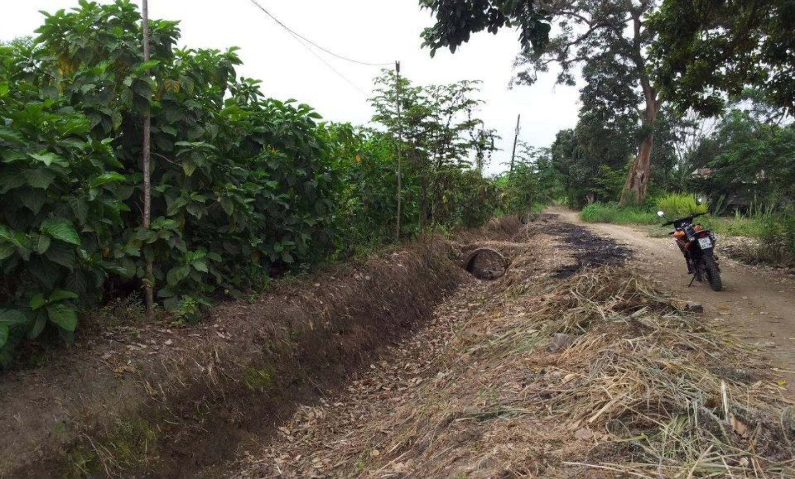 Vendo terreno agrícola en Milagro vía a Naranjito, IngS.
