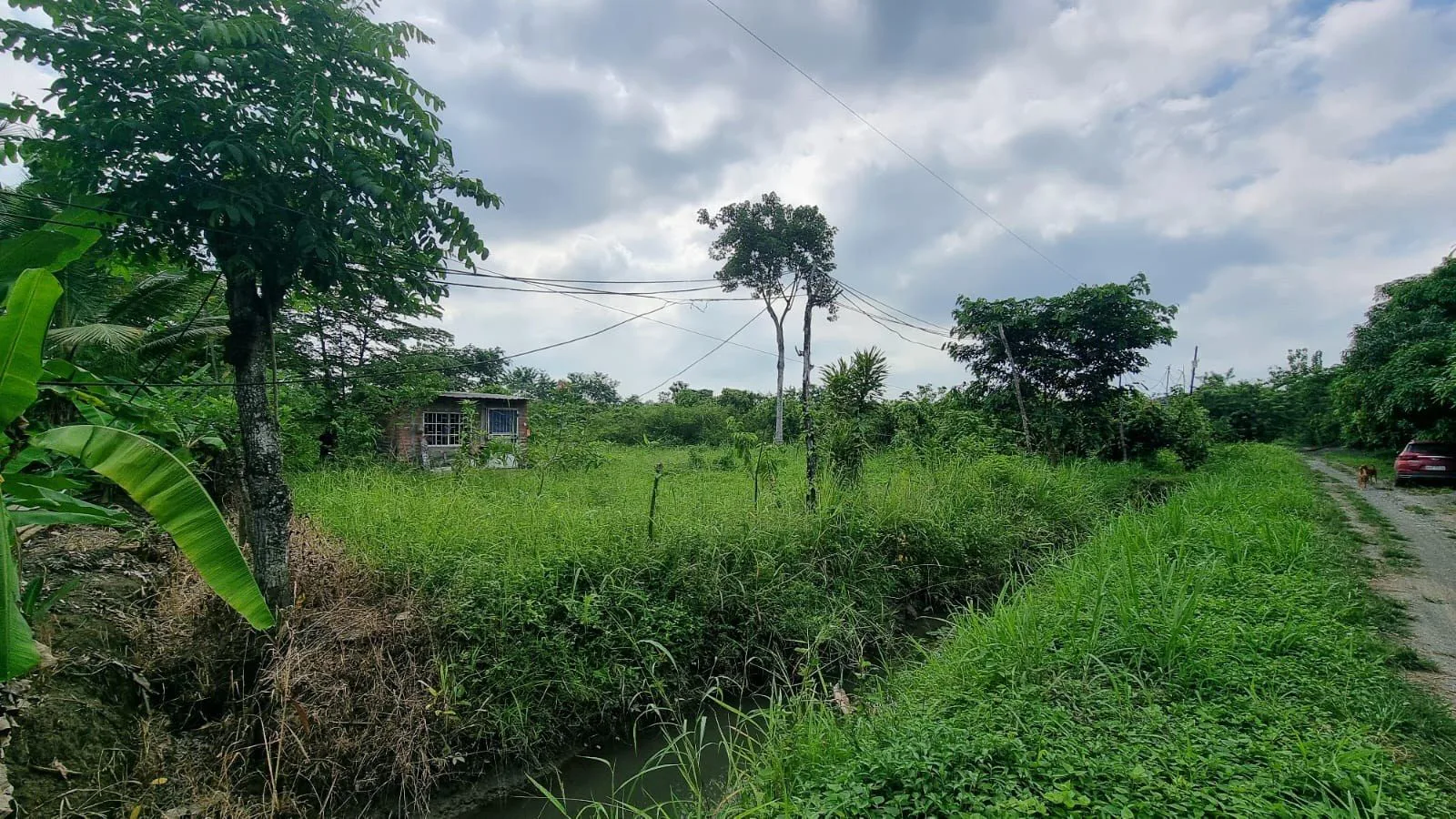 Vendo terreno agrícola en Milagro vía a Naranjito, IngS.