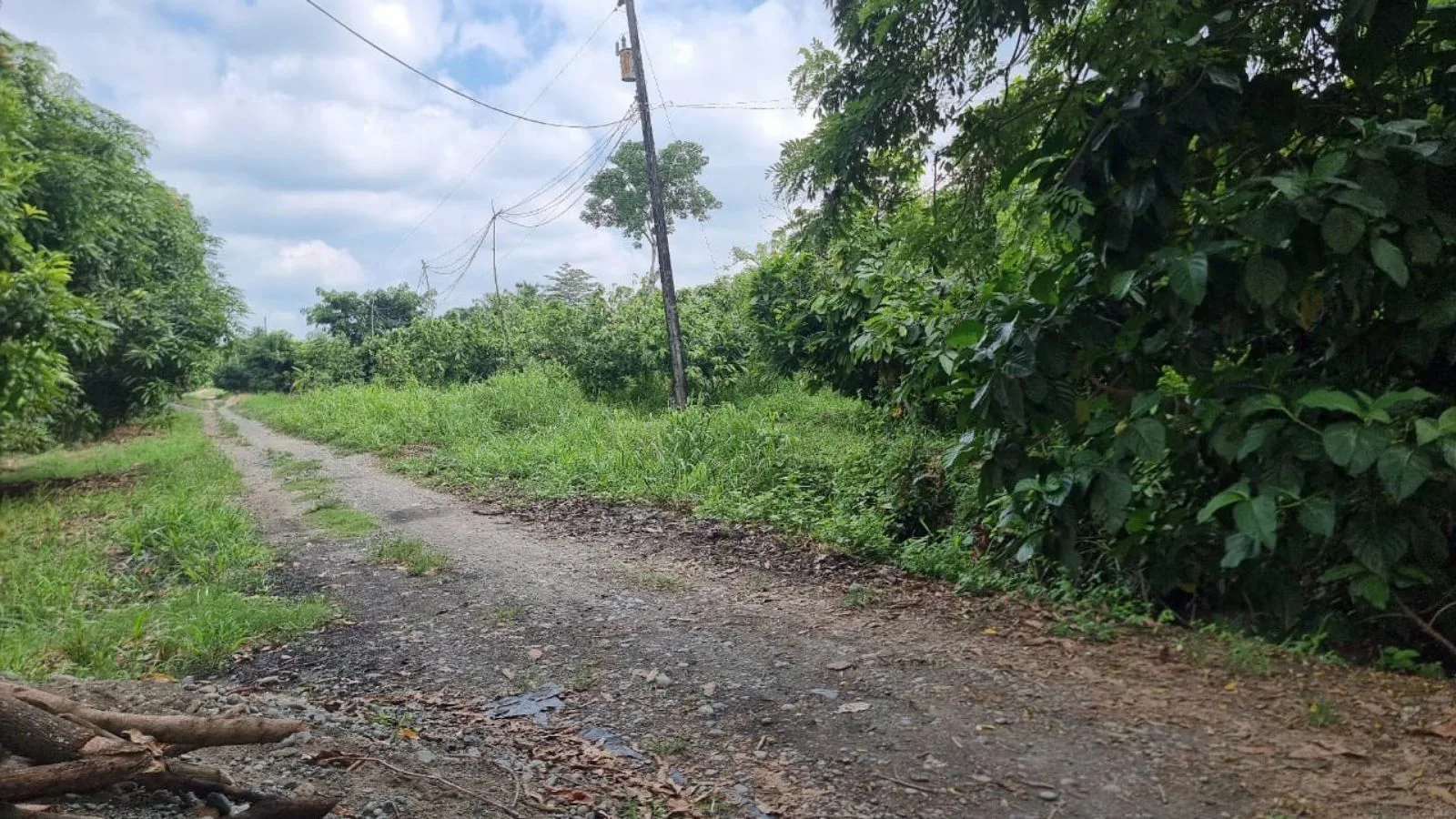 Vendo terreno agrícola en Milagro vía a Naranjito, IngS.