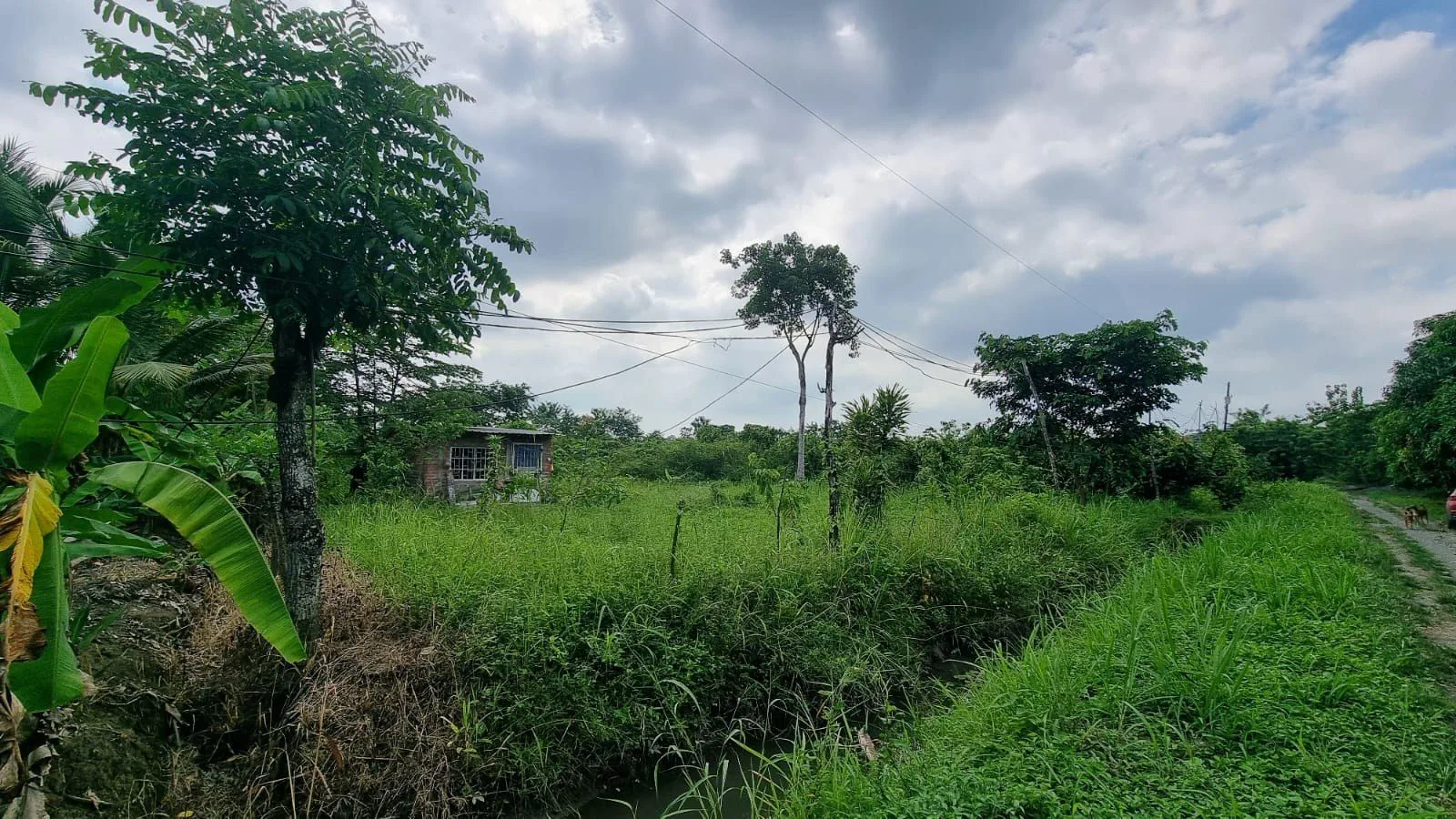 Vendo terreno agrícola en Milagro vía a Naranjito, IngS.