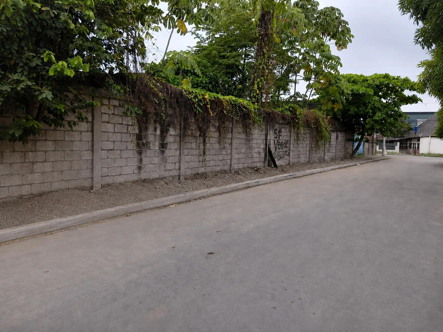 Terreno en venta sector La Pradera – Milagro XimO