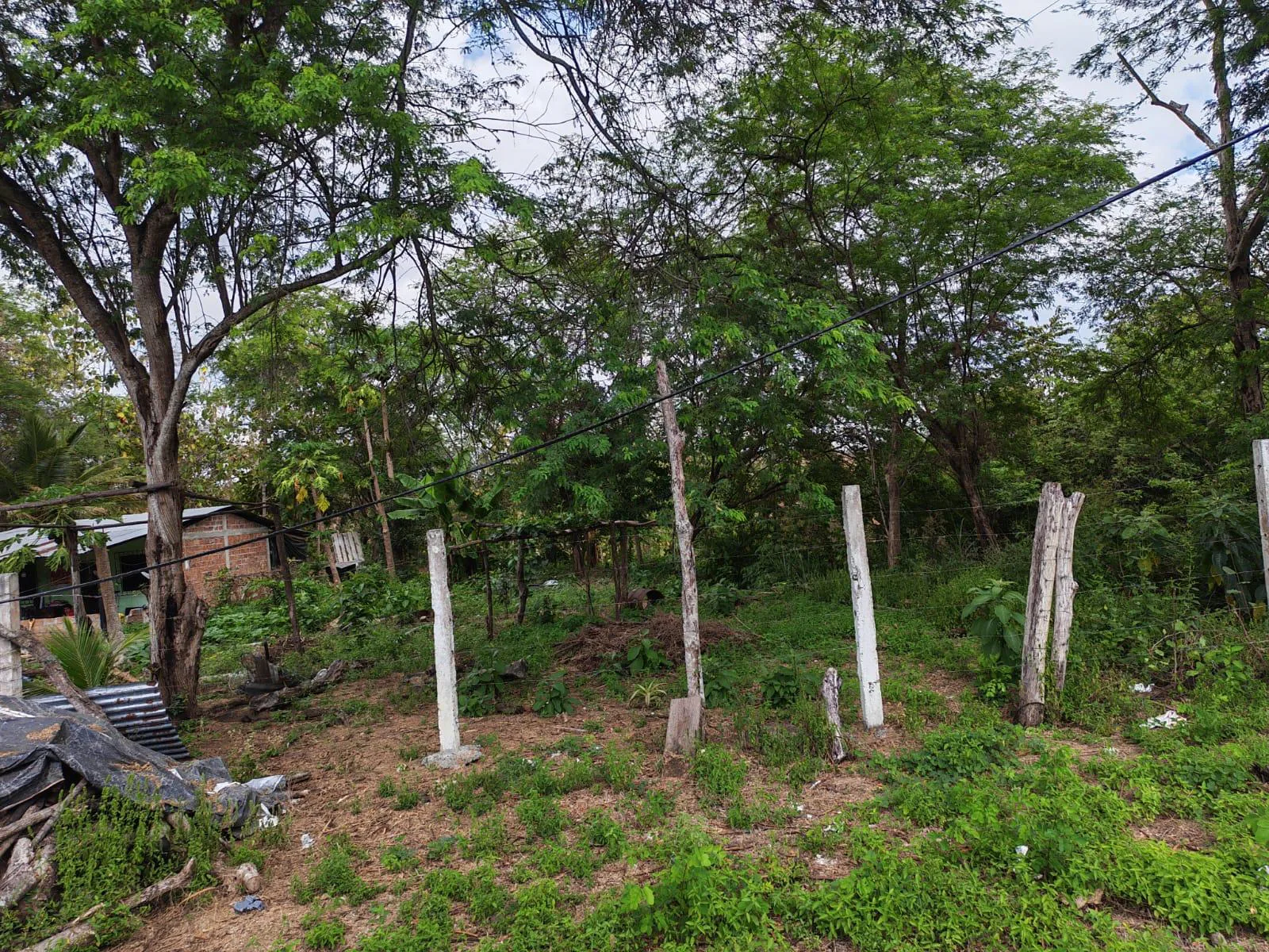 Venta Casa y Terreno. Vía Jipijapa-Guayaquil. Recinto San Vicente. Parroquia Jipijapa. VyJ
