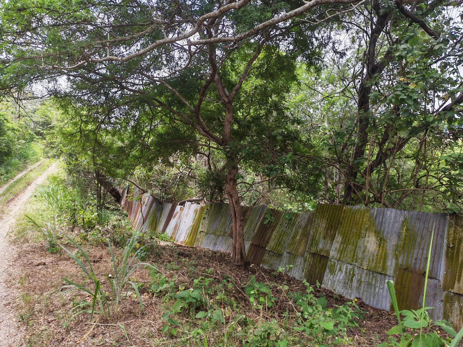 Venta Casa y Terreno. Vía Jipijapa-Guayaquil. Recinto San Vicente. Parroquia Jipijapa. VyJ