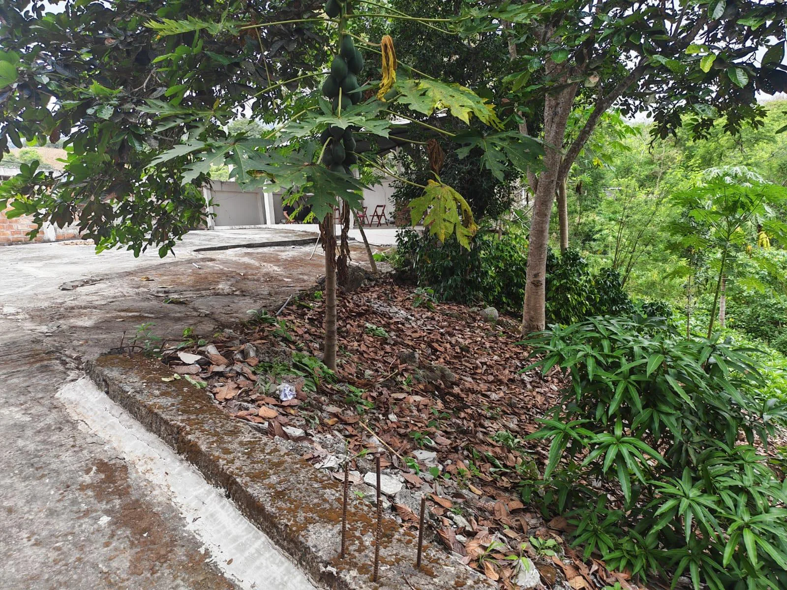 Venta Casa y Terreno. Vía Jipijapa-Guayaquil. Recinto San Vicente. Parroquia Jipijapa. VyJ
