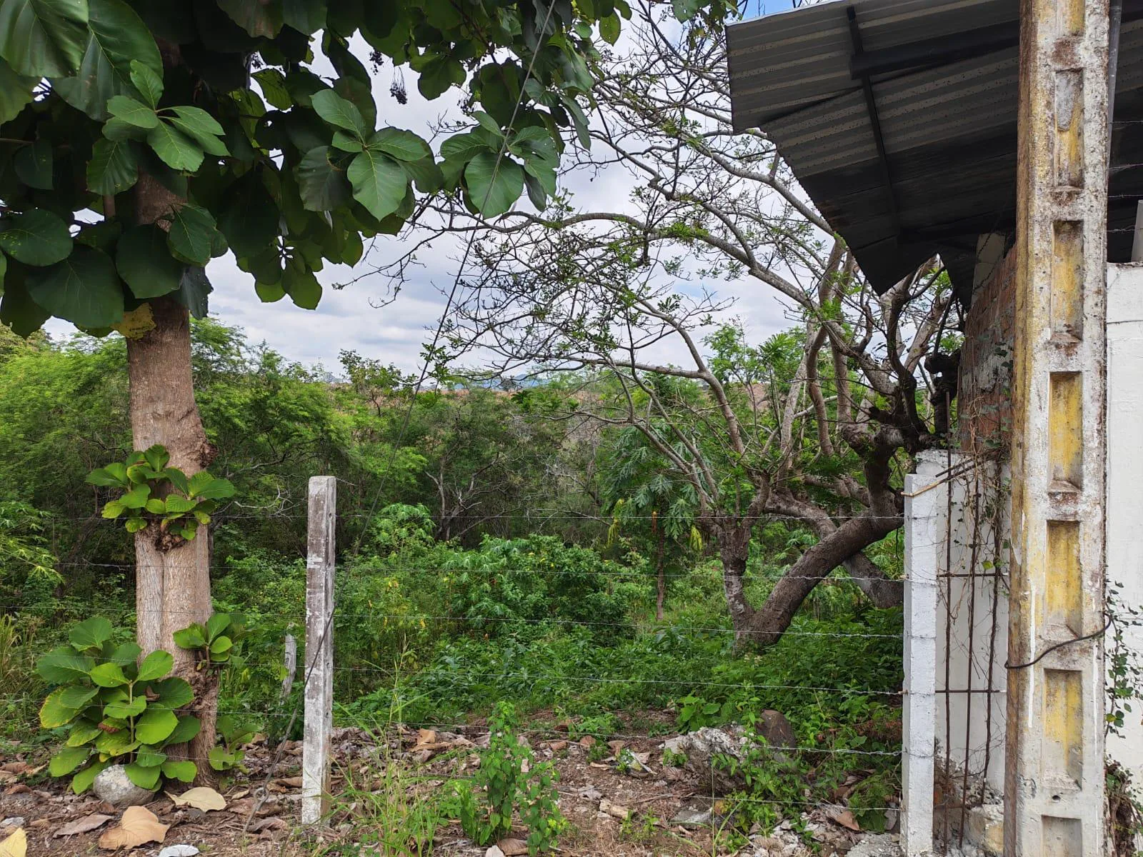 Venta Casa y Terreno. Vía Jipijapa-Guayaquil. Recinto San Vicente. Parroquia Jipijapa. VyJ