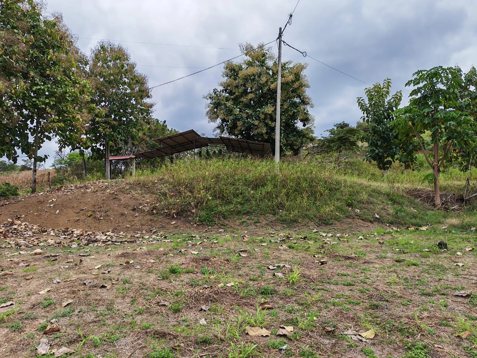 Venta Terreno Vía Jipijapa – Guayaquil. Recinto San Vicente. VyJ