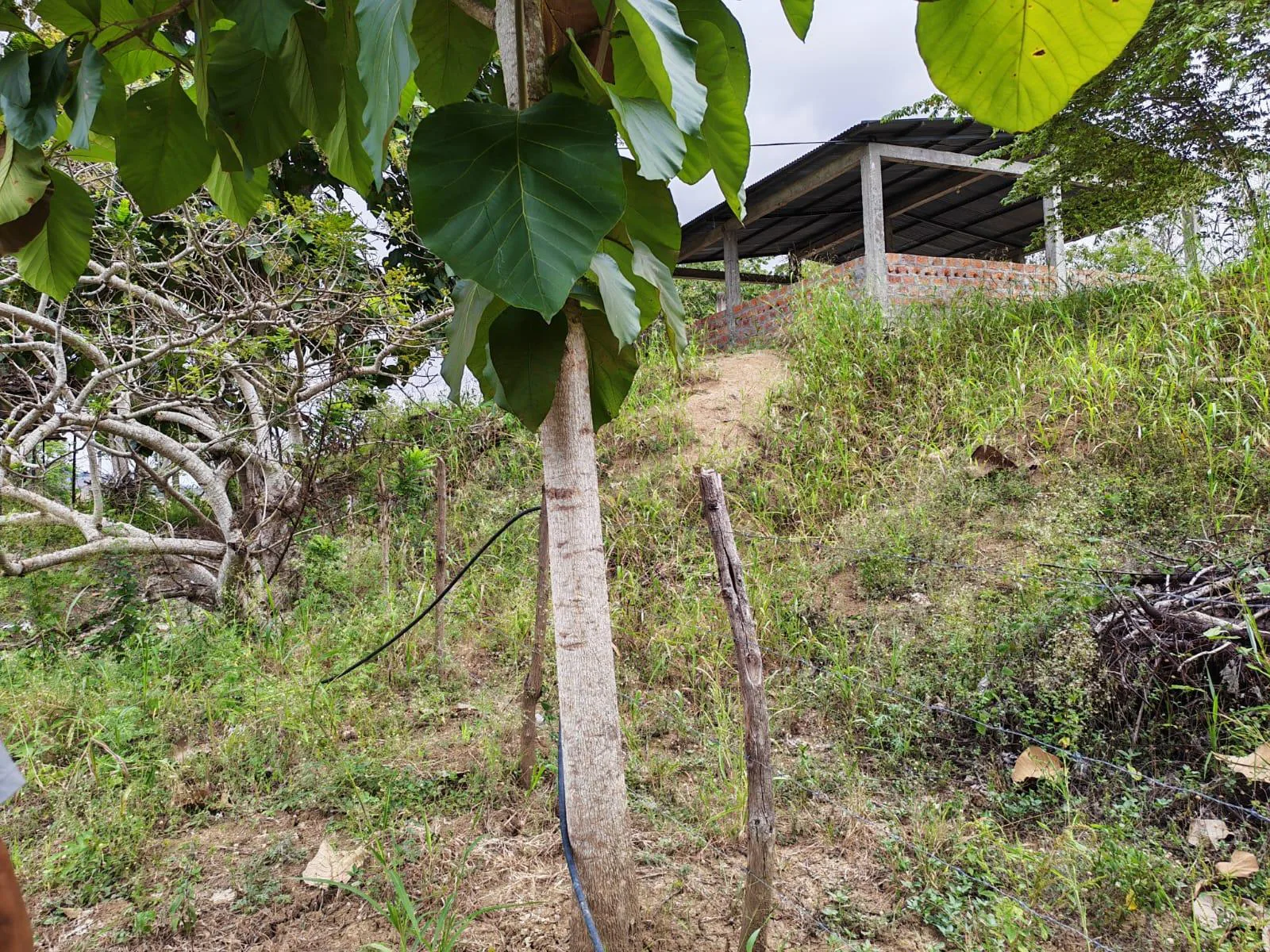 Venta Terreno Vía Jipijapa – Guayaquil. Recinto San Vicente. VyJ