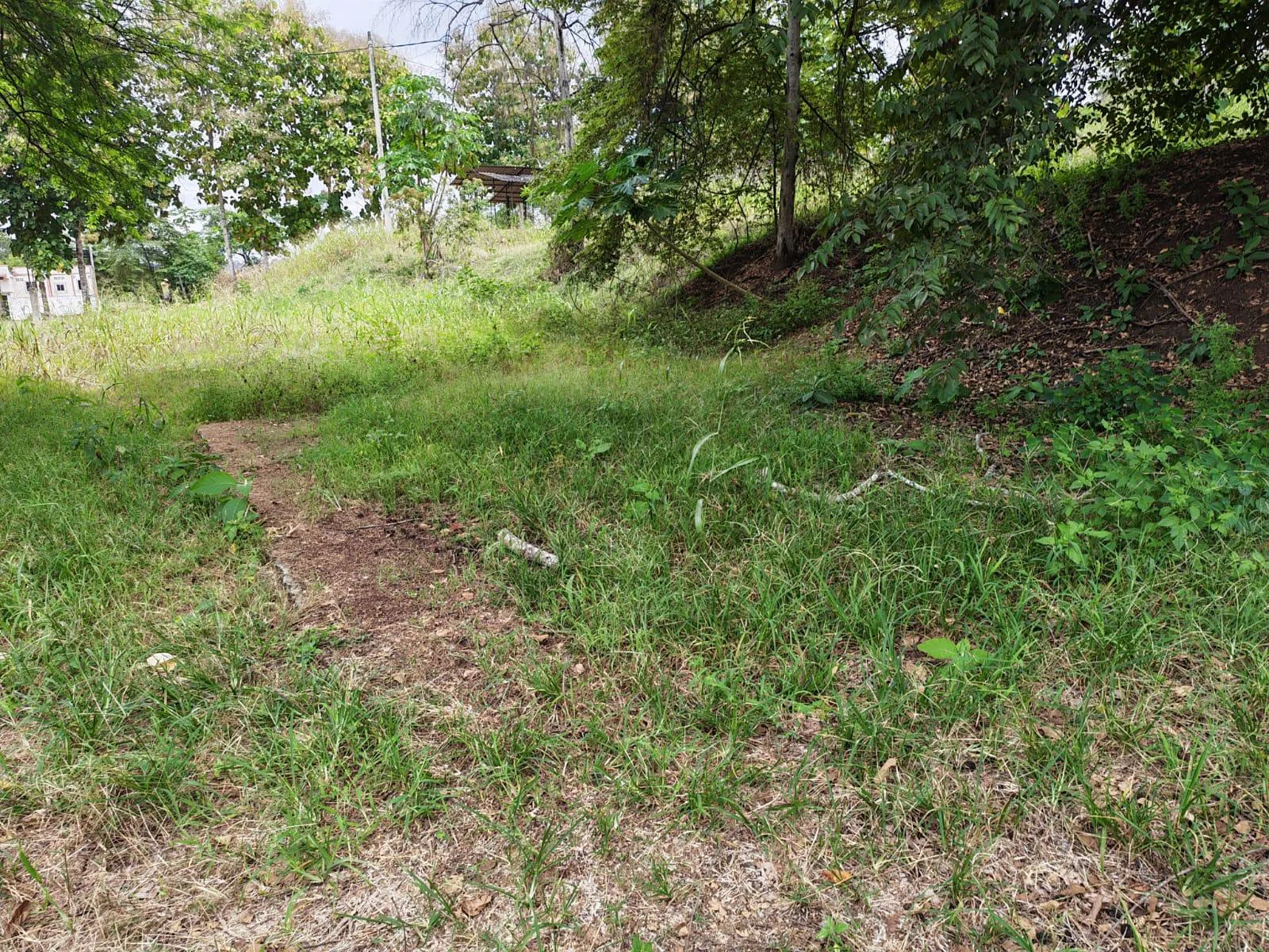 Venta Terreno Vía Jipijapa – Guayaquil. Recinto San Vicente. VyJ