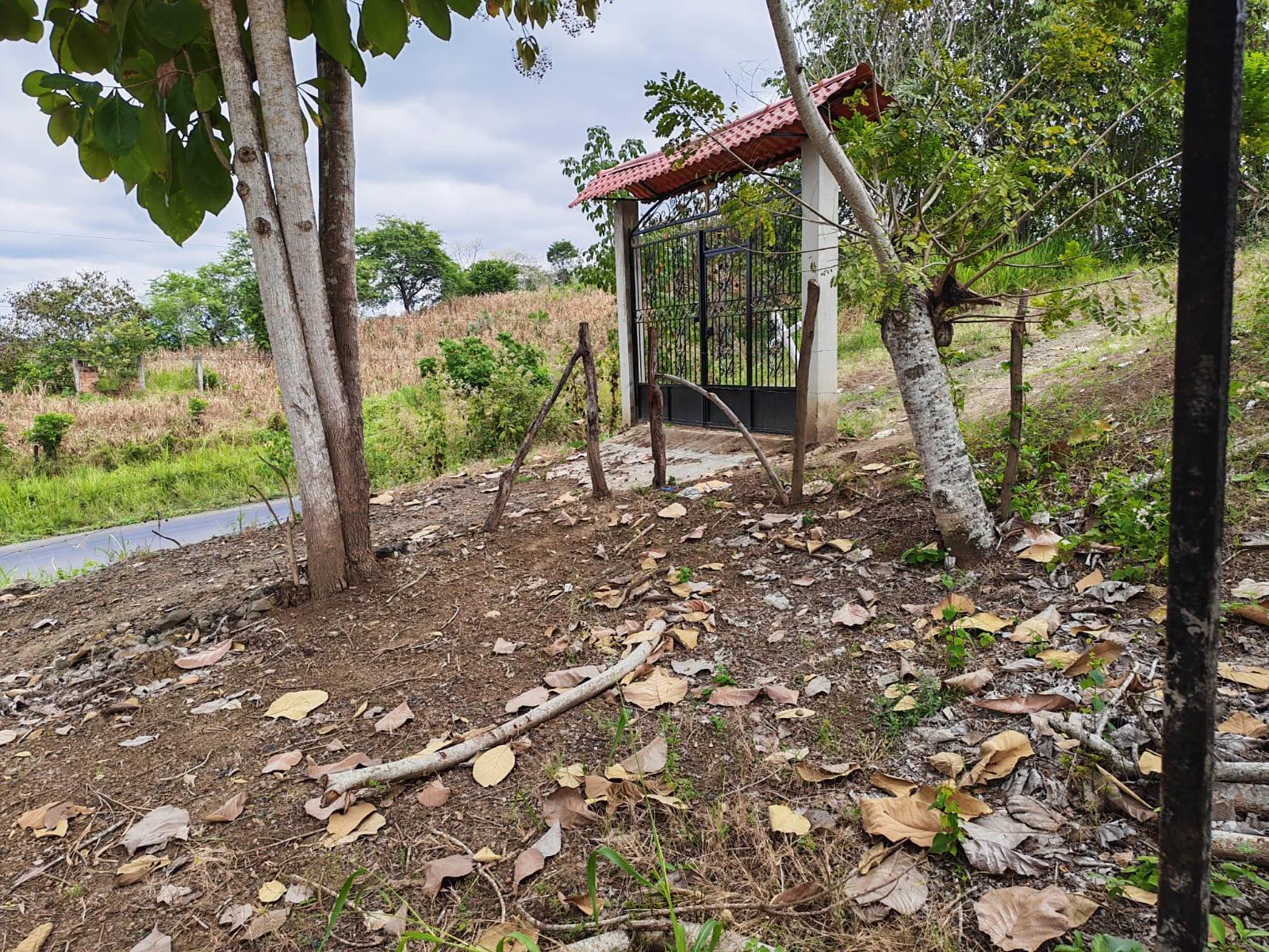 Venta Terreno Vía Jipijapa – Guayaquil. Recinto San Vicente. VyJ