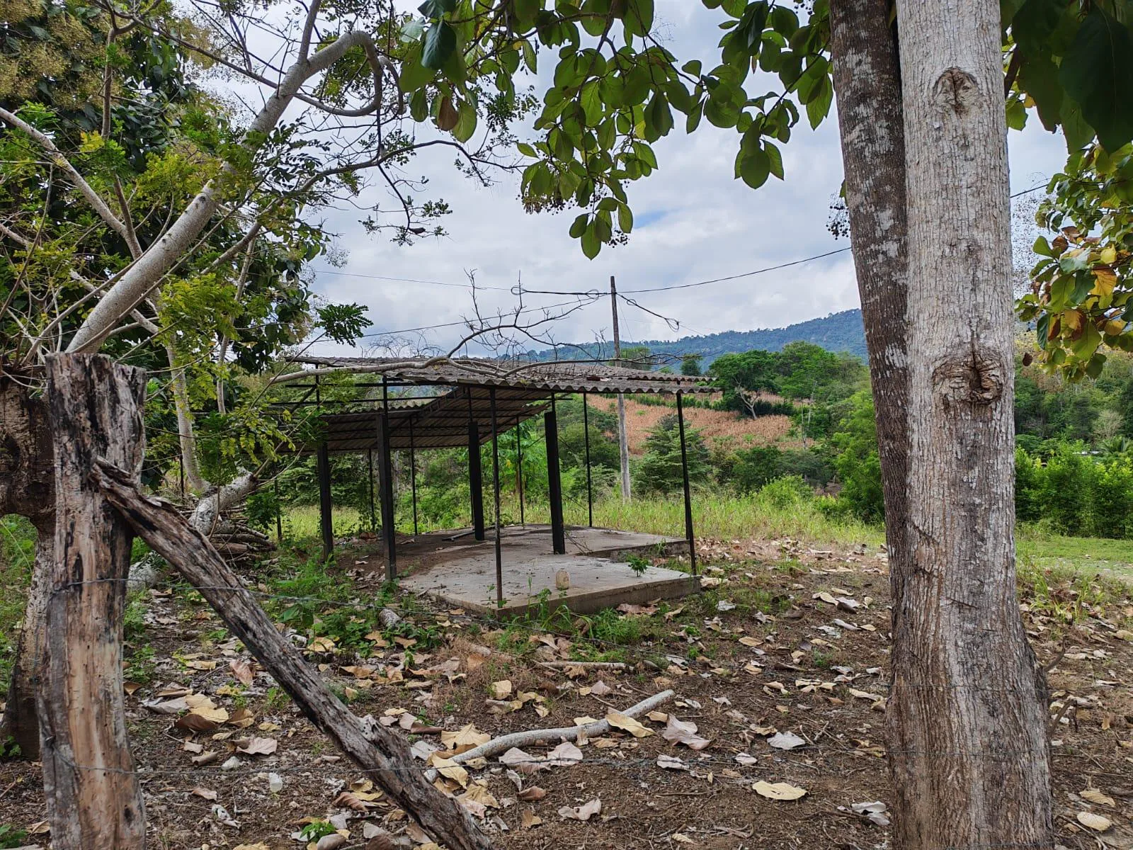 Venta Terreno Vía Jipijapa – Guayaquil. Recinto San Vicente. VyJ