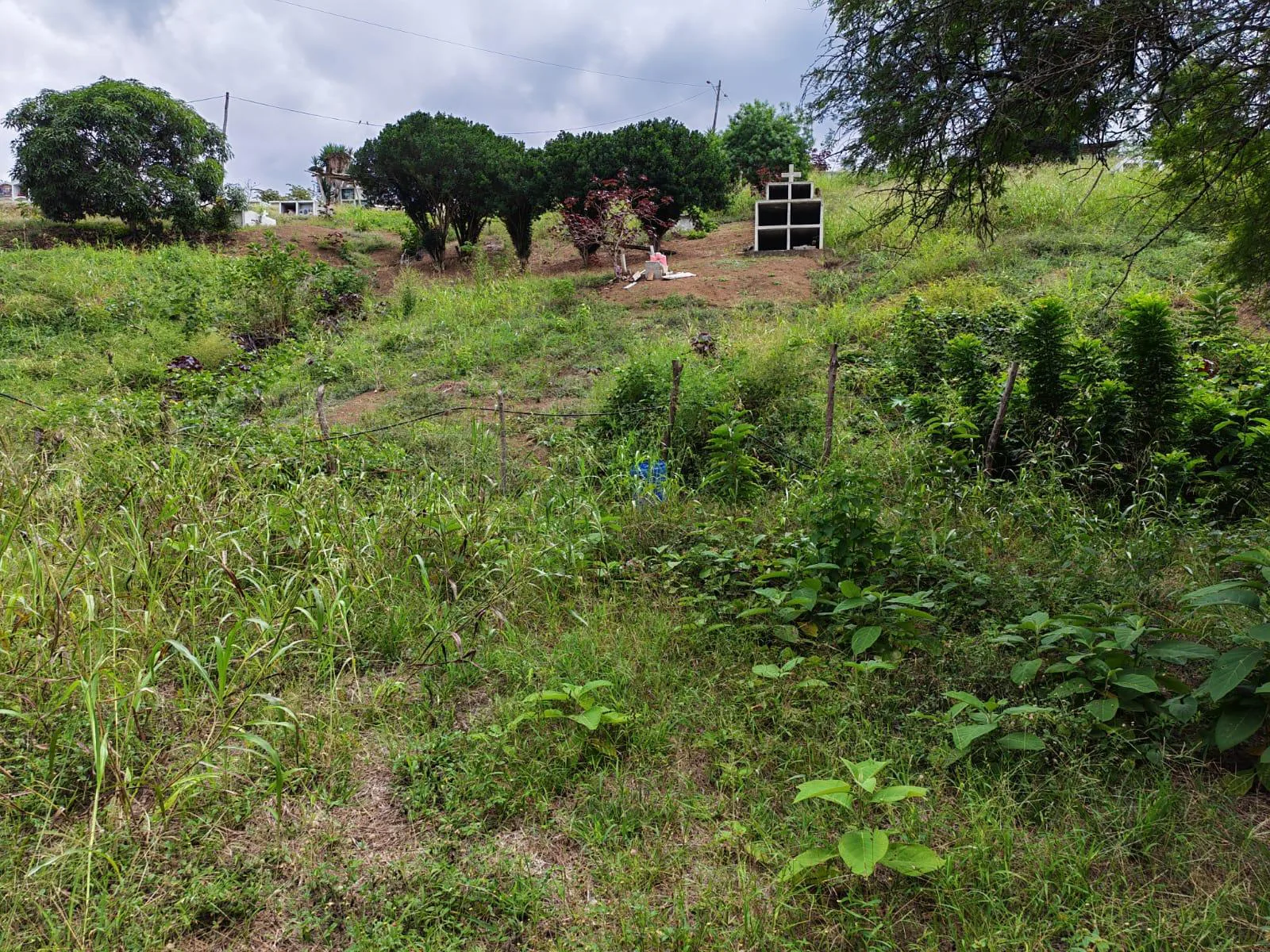 Venta Terreno Vía Jipijapa – Guayaquil. Recinto San Vicente. VyJ