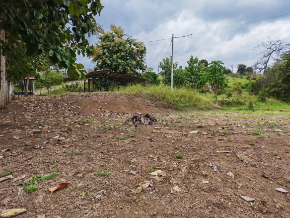 Venta Terreno Vía Jipijapa – Guayaquil. Recinto San Vicente. VyJ