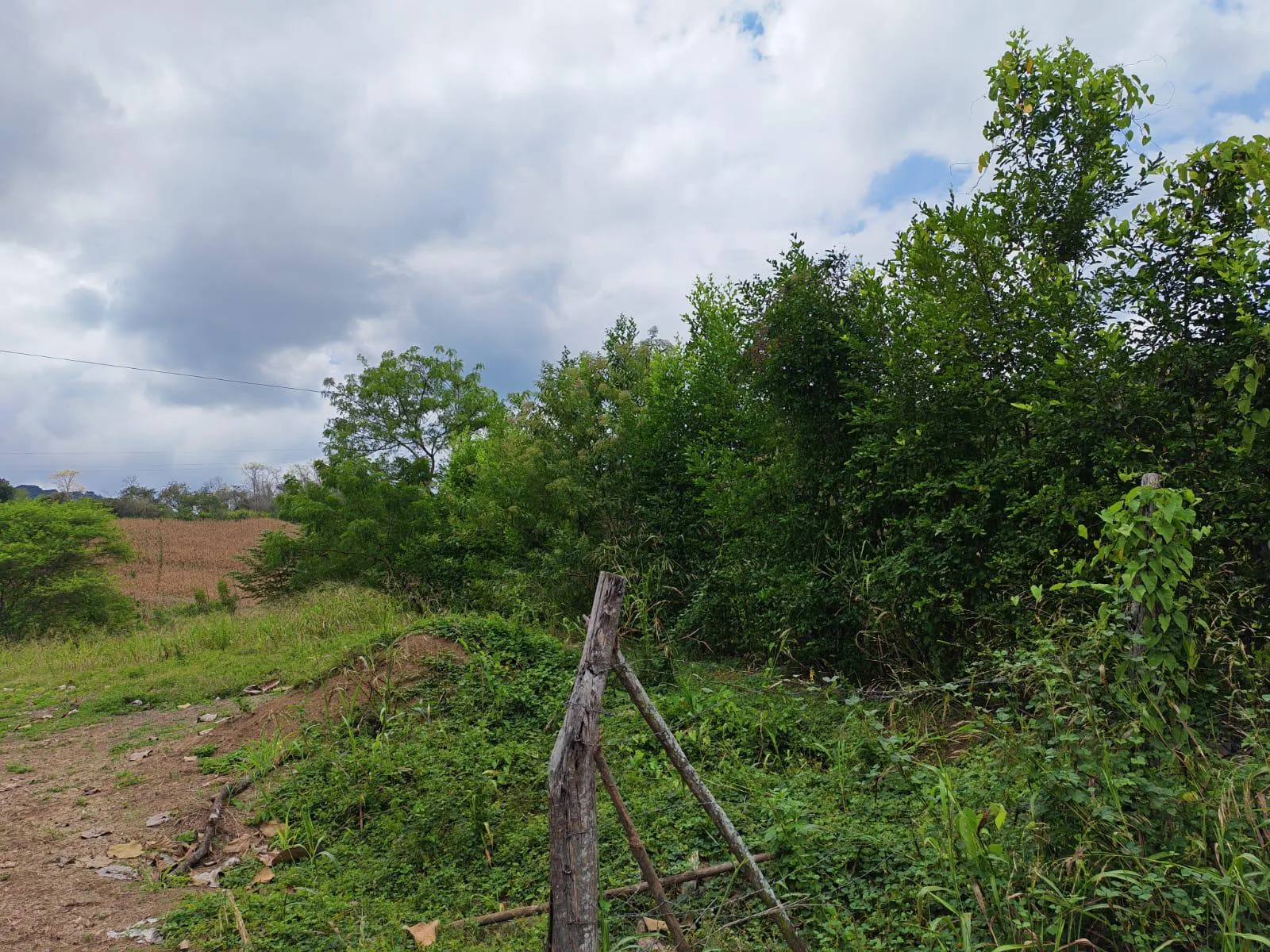 Venta Terreno Vía Jipijapa – Guayaquil. Recinto San Vicente. VyJ