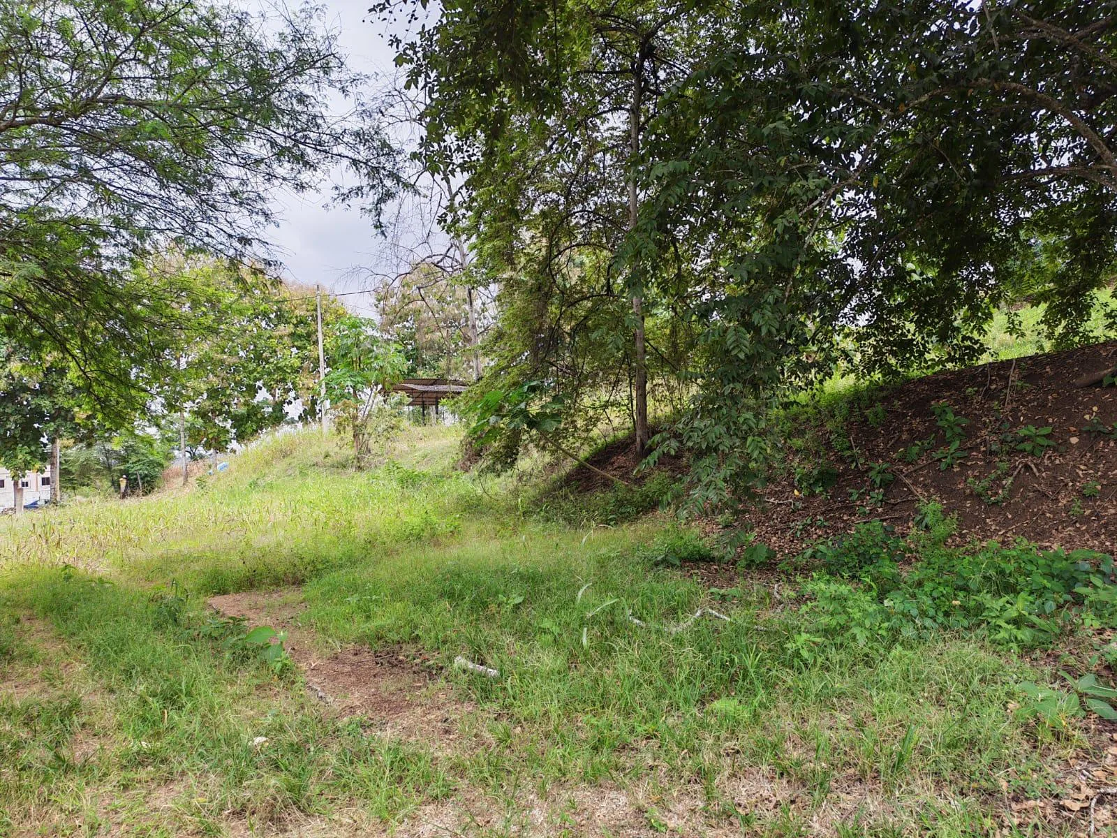 Venta Terreno Vía Jipijapa – Guayaquil. Recinto San Vicente. VyJ