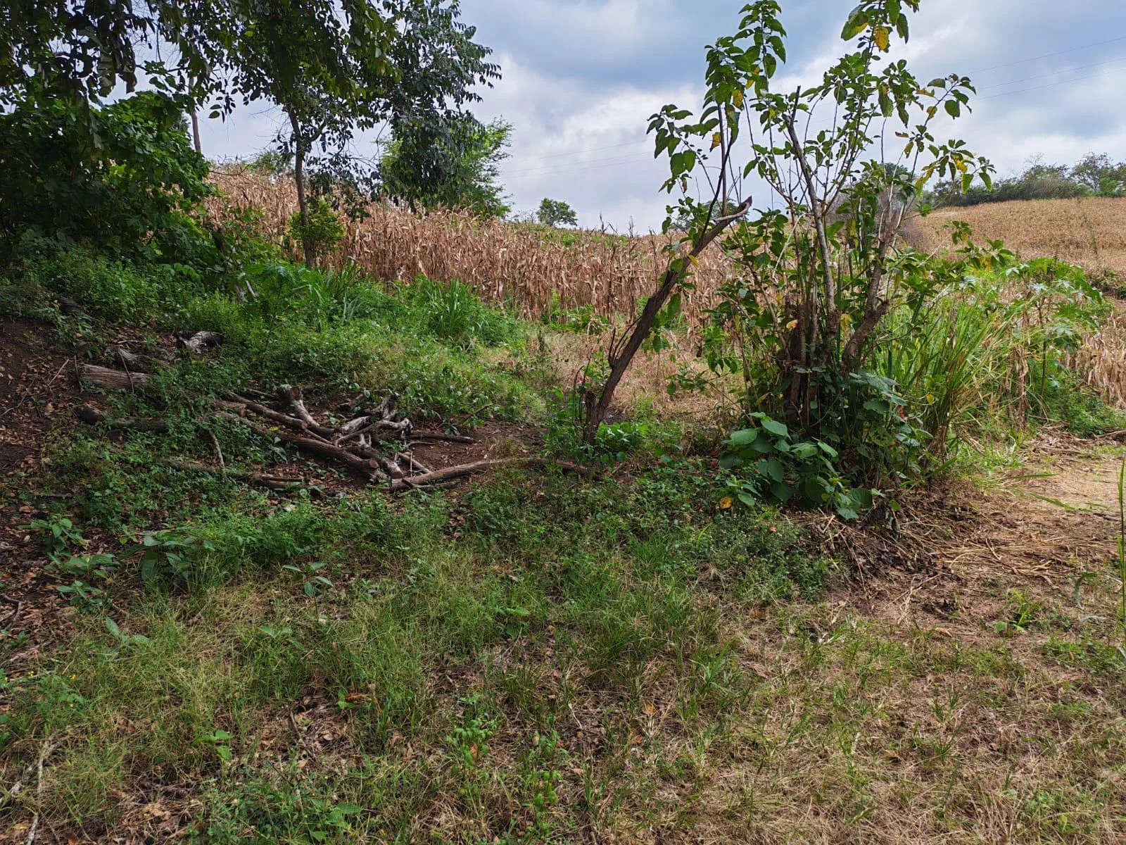 Venta Terreno Vía Jipijapa – Guayaquil. Recinto San Vicente. VyJ