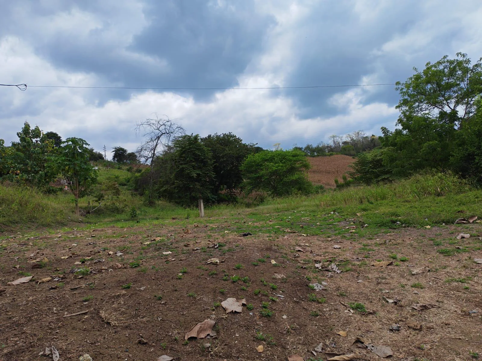 Venta Terreno Vía Jipijapa – Guayaquil. Recinto San Vicente. VyJ