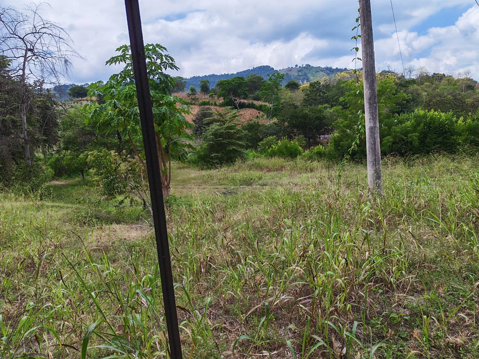 Venta Terreno Vía Jipijapa – Guayaquil. Recinto San Vicente. VyJ