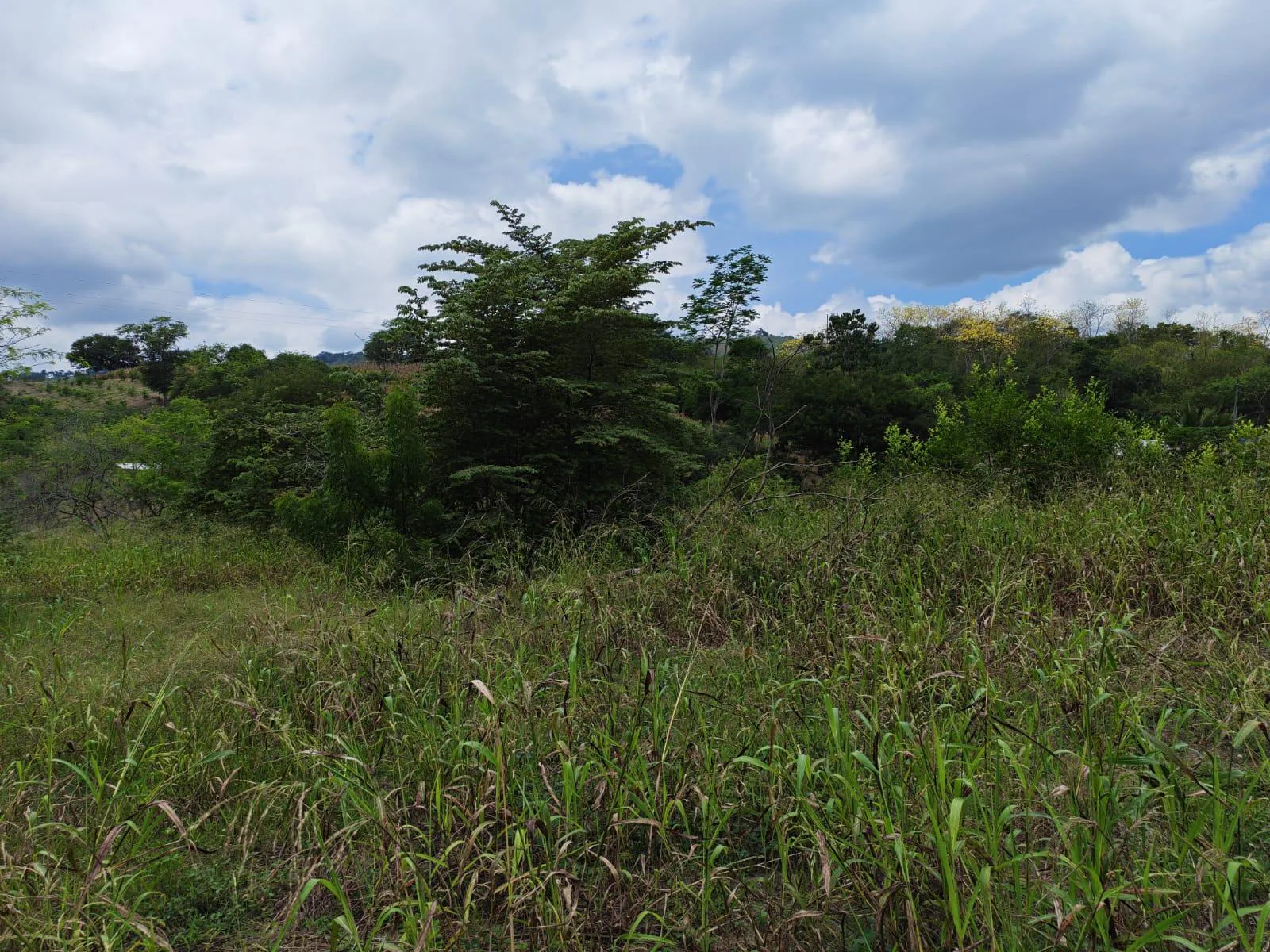 Venta Terreno Vía Jipijapa – Guayaquil. Recinto San Vicente. VyJ