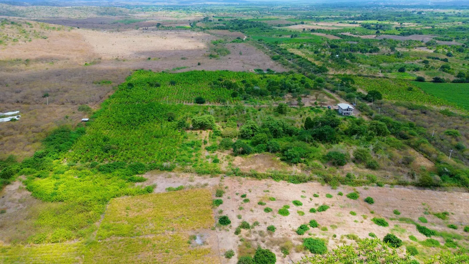 Finca de 50 Hectáreas en Venta en Colonche, Limoncito RonR