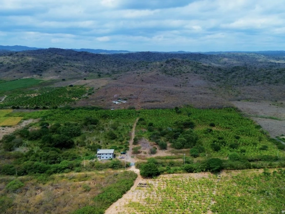 Finca de 50 Hectáreas en Venta en Colonche, Limoncito RonR
