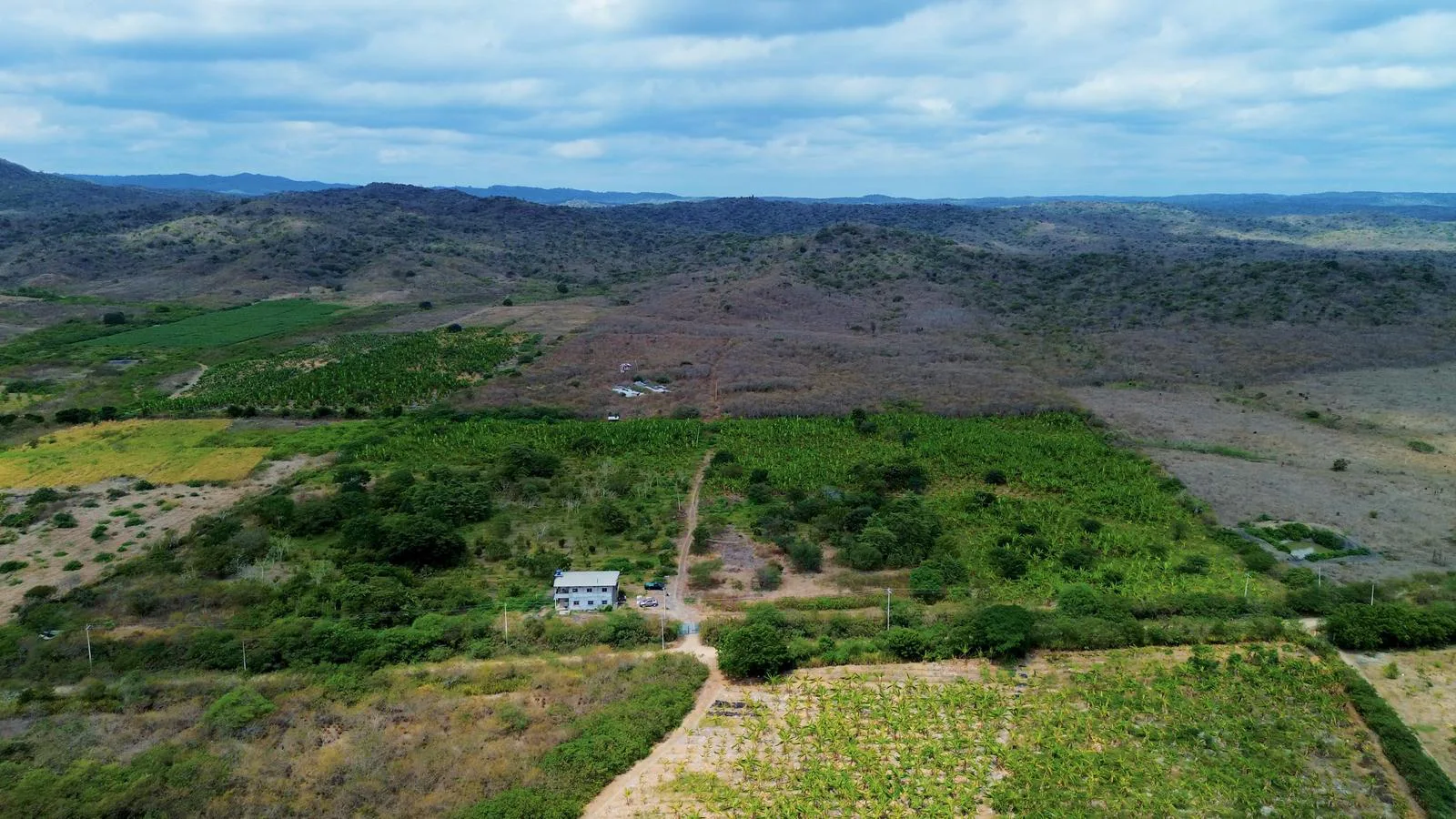 Finca de 50 Hectáreas en Venta en Colonche, Limoncito RonR
