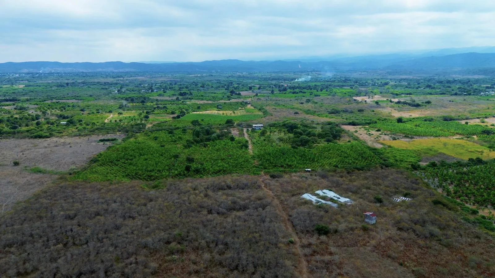 Finca de 50 Hectáreas en Venta en Colonche, Limoncito RonR