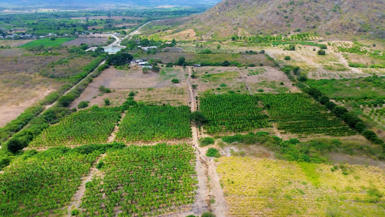 Finca de 50 Hectáreas en Venta en Colonche, Limoncito RonR