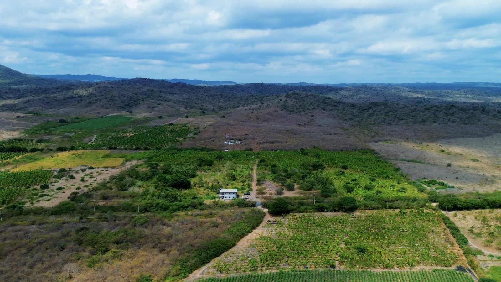 Finca de 50 Hectáreas en Venta en Colonche, Limoncito RonR