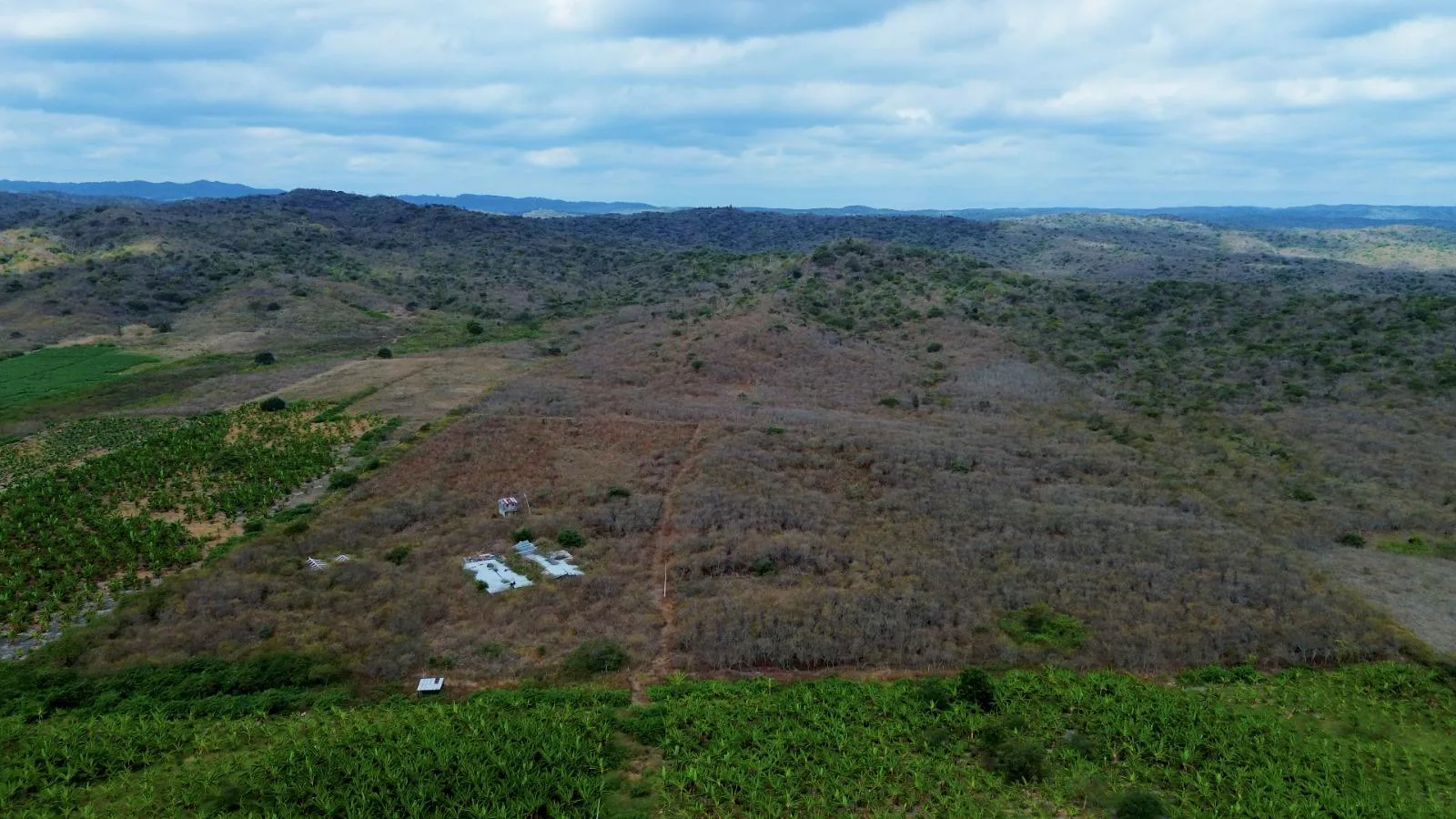 Finca de 50 Hectáreas en Venta en Colonche, Limoncito RonR