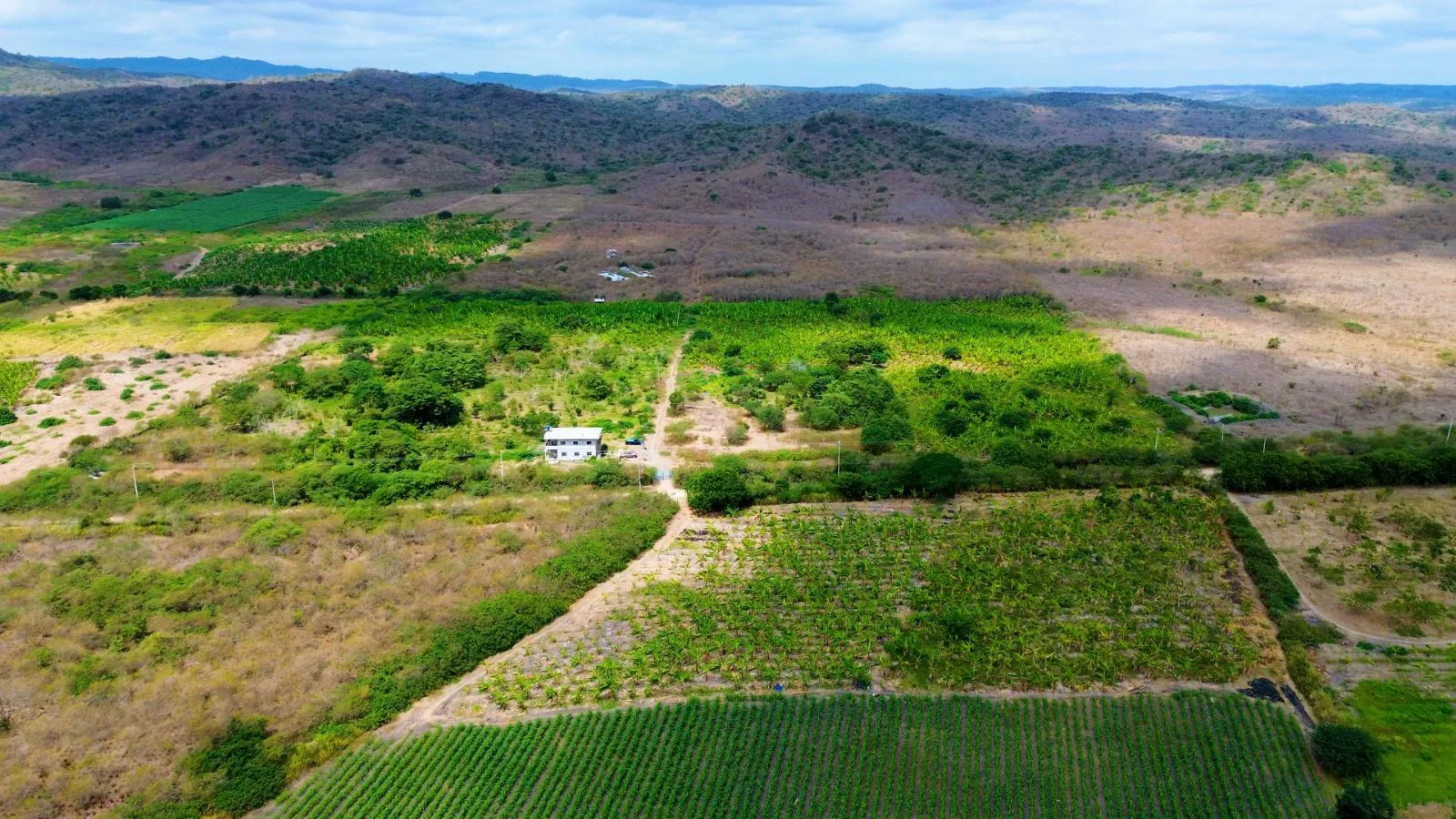 Finca de 50 Hectáreas en Venta en Colonche, Limoncito RonR