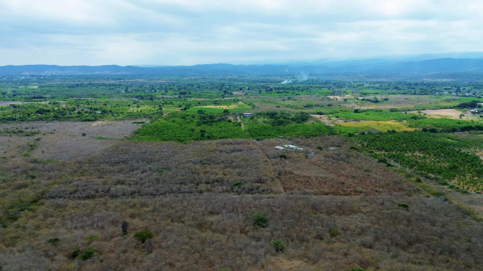 Finca de 50 Hectáreas en Venta en Colonche, Limoncito RonR