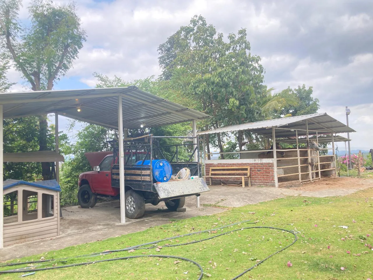 Venta de Finca en Producción, Recinto Limoncito, Santa Elena KarR