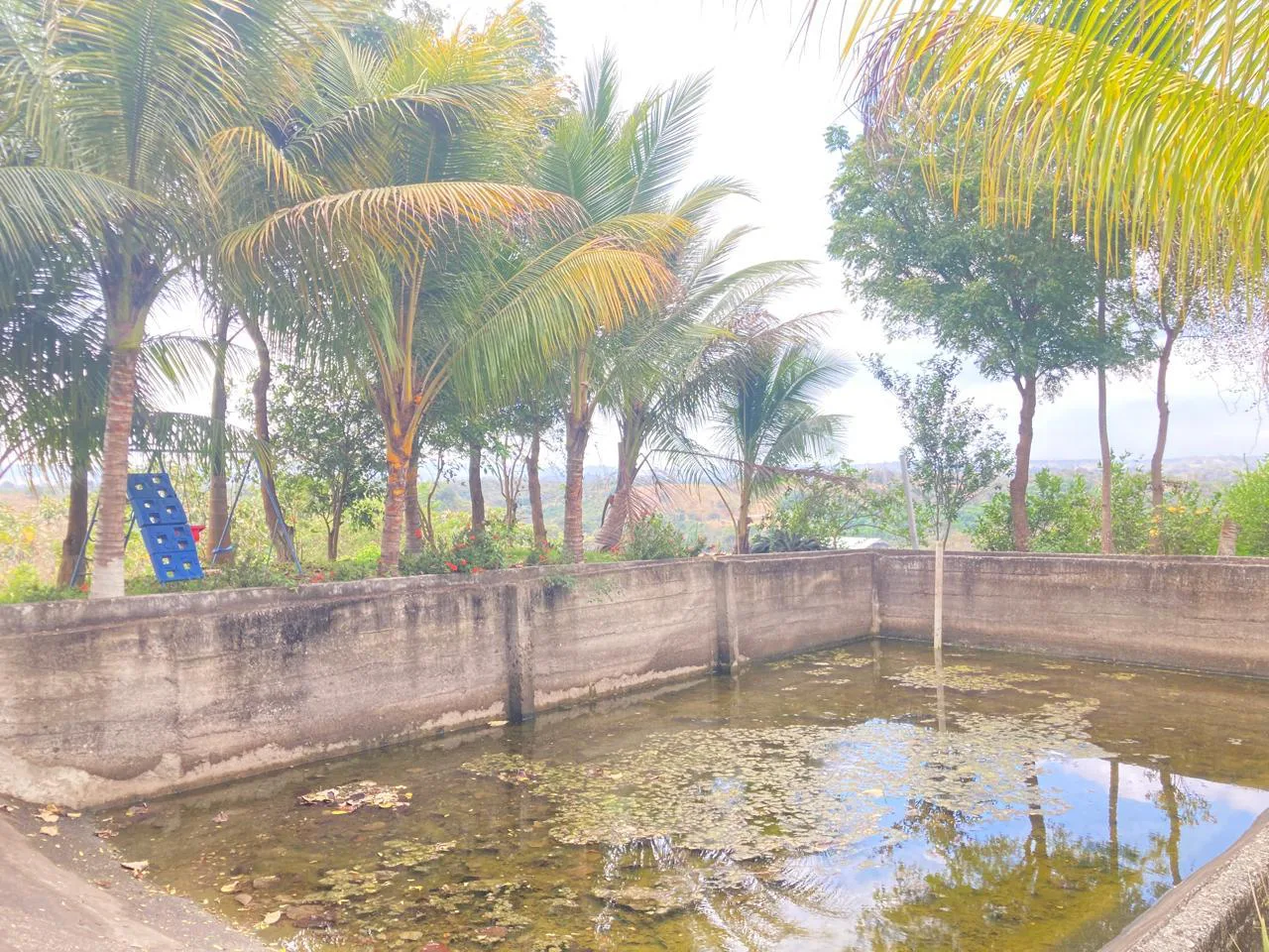 Venta de Finca en Producción, Recinto Limoncito, Santa Elena KarR