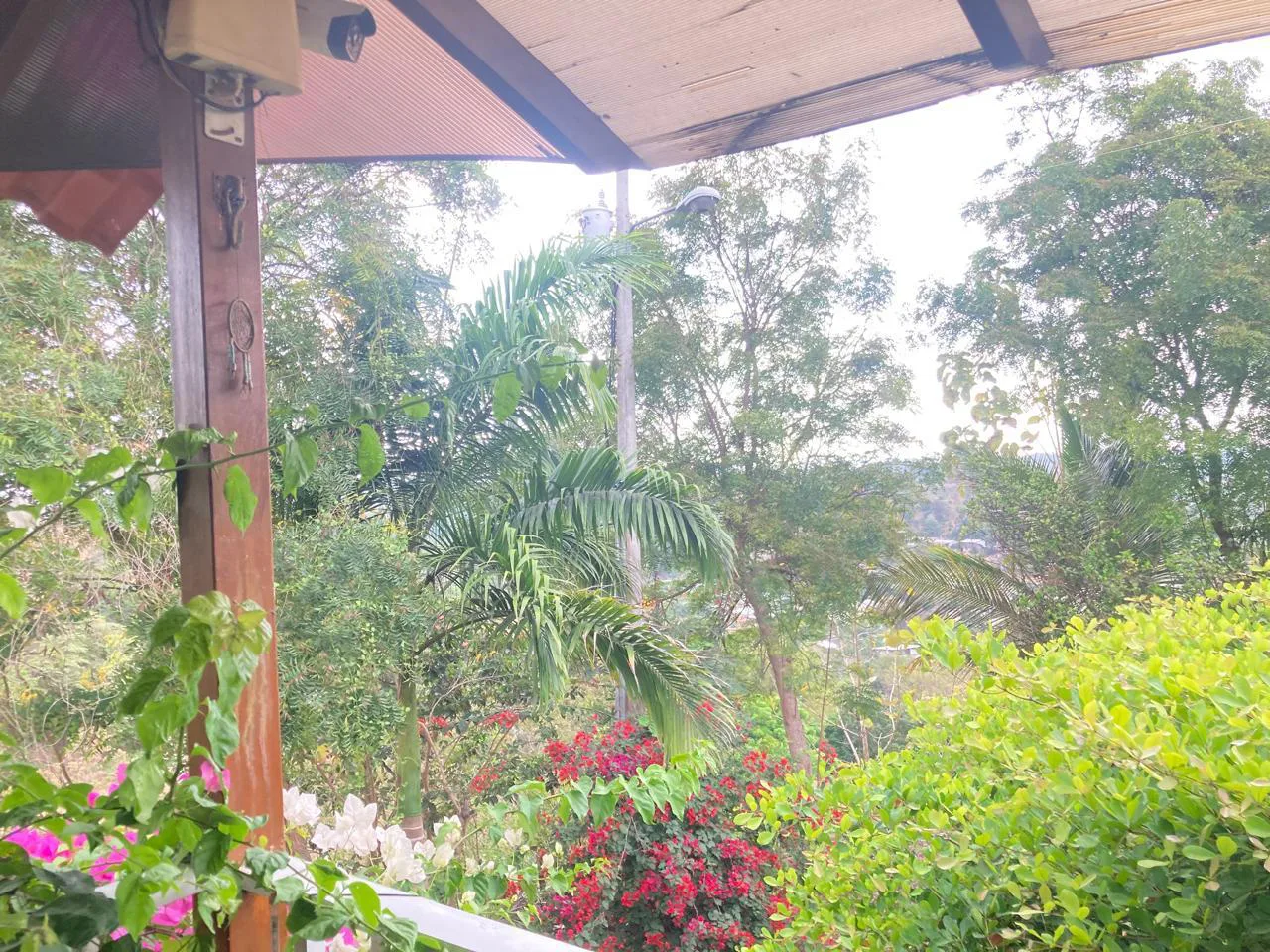 Venta de Finca en Producción, Recinto Limoncito, Santa Elena KarR