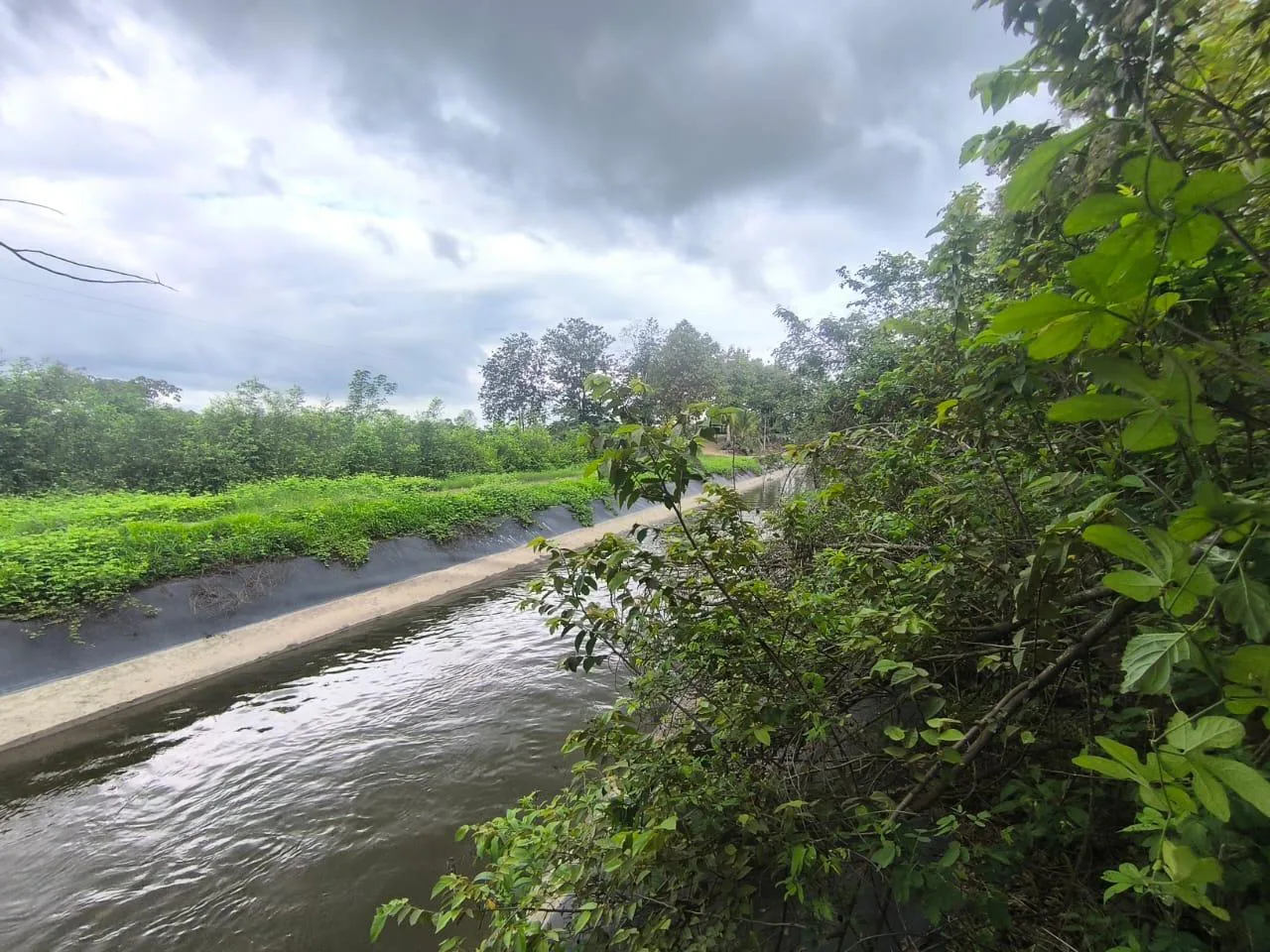 Venta de Finca en Producción, Recinto Limoncito, Santa Elena KarR