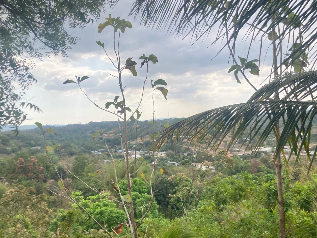 Venta de Finca en Producción, Recinto Limoncito, Santa Elena KarR
