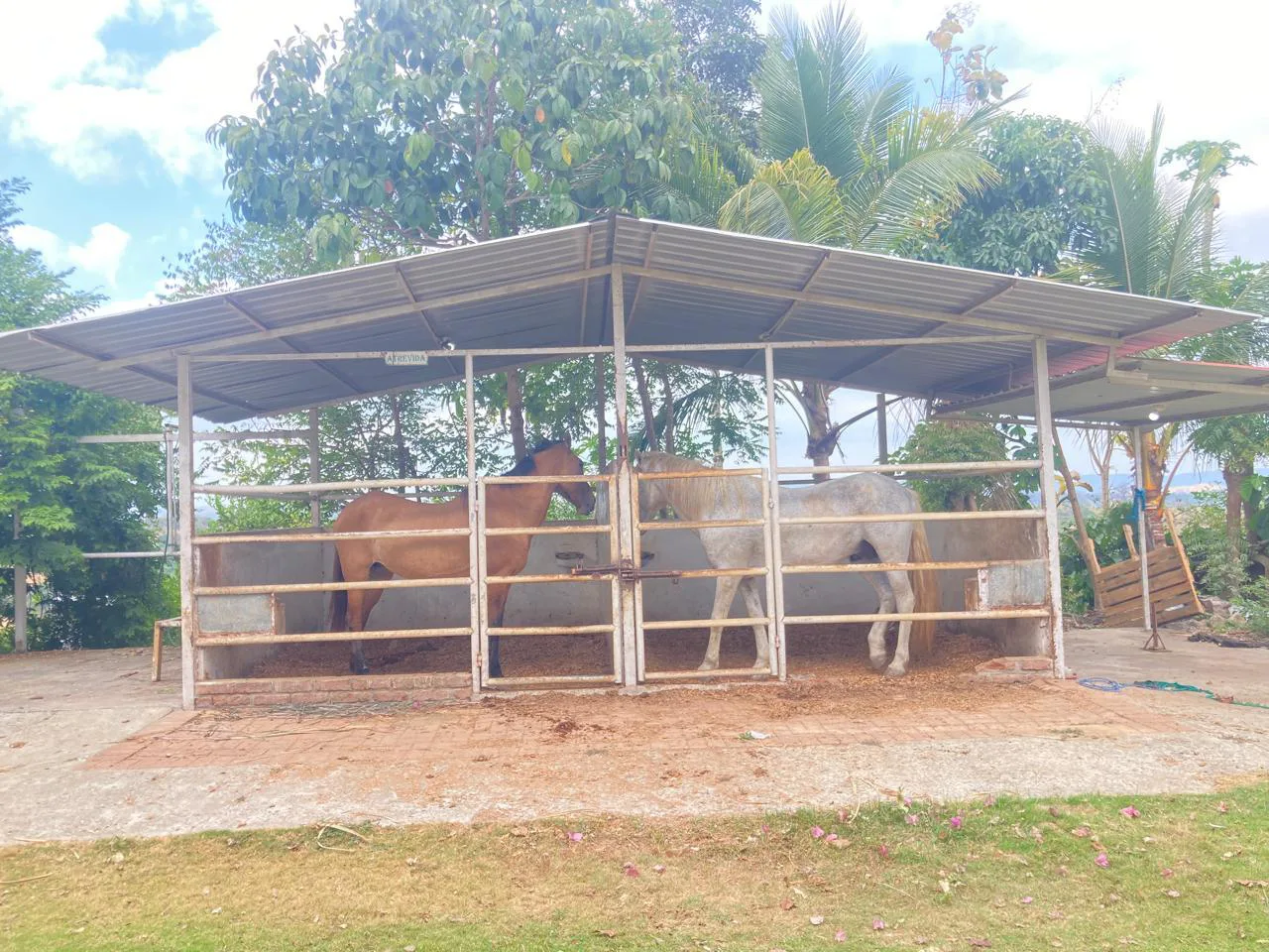Venta de Finca en Producción, Recinto Limoncito, Santa Elena KarR