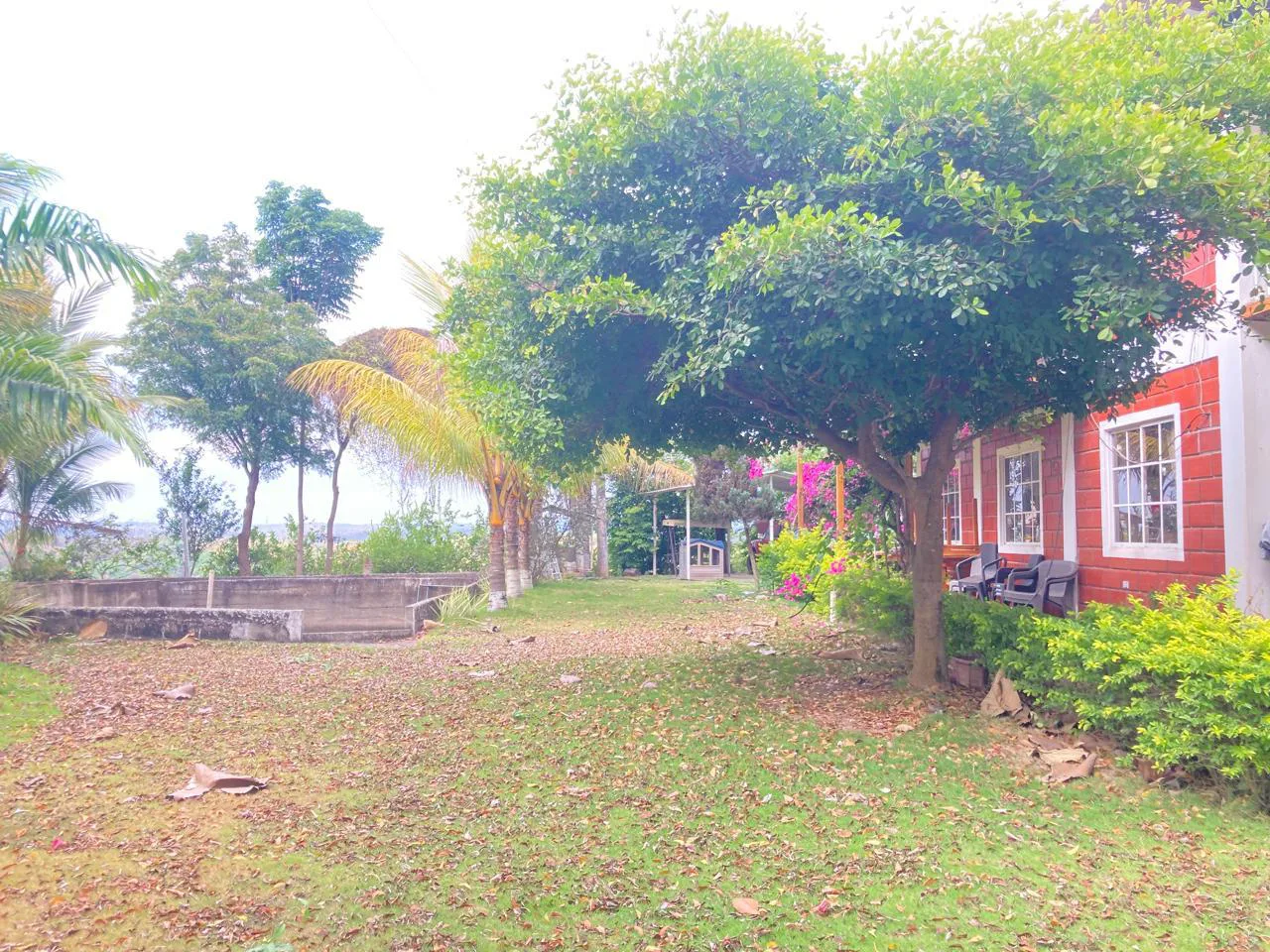 Venta de Finca en Producción, Recinto Limoncito, Santa Elena KarR