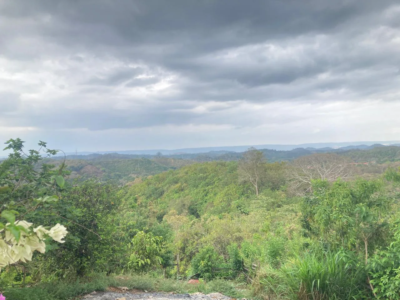 Venta de Finca en Producción, Recinto Limoncito, Santa Elena KarR