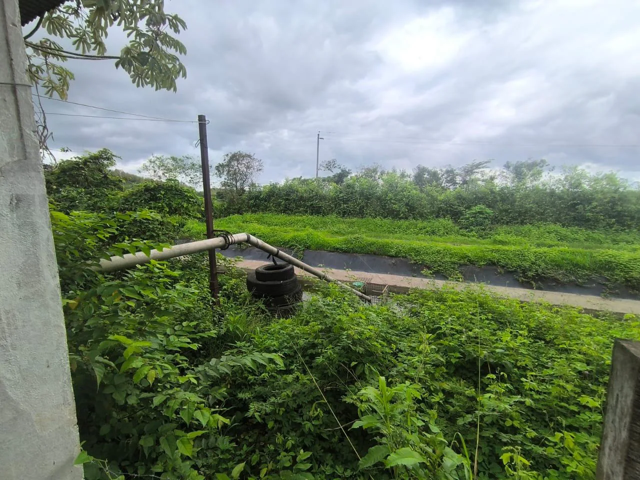 Venta de Finca en Producción, Recinto Limoncito, Santa Elena KarR