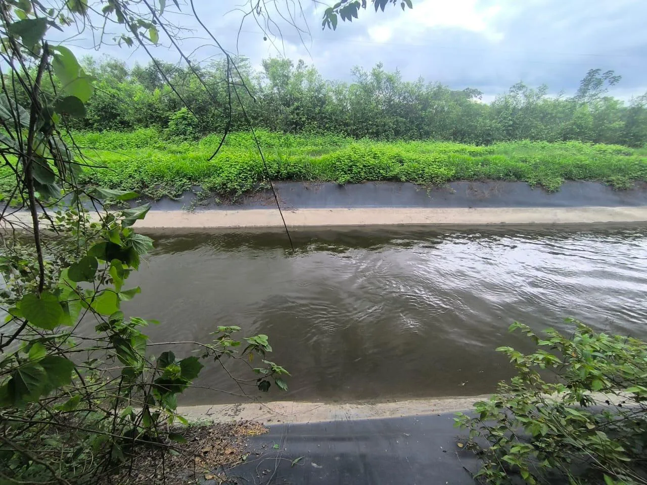 Venta de Finca en Producción, Recinto Limoncito, Santa Elena KarR