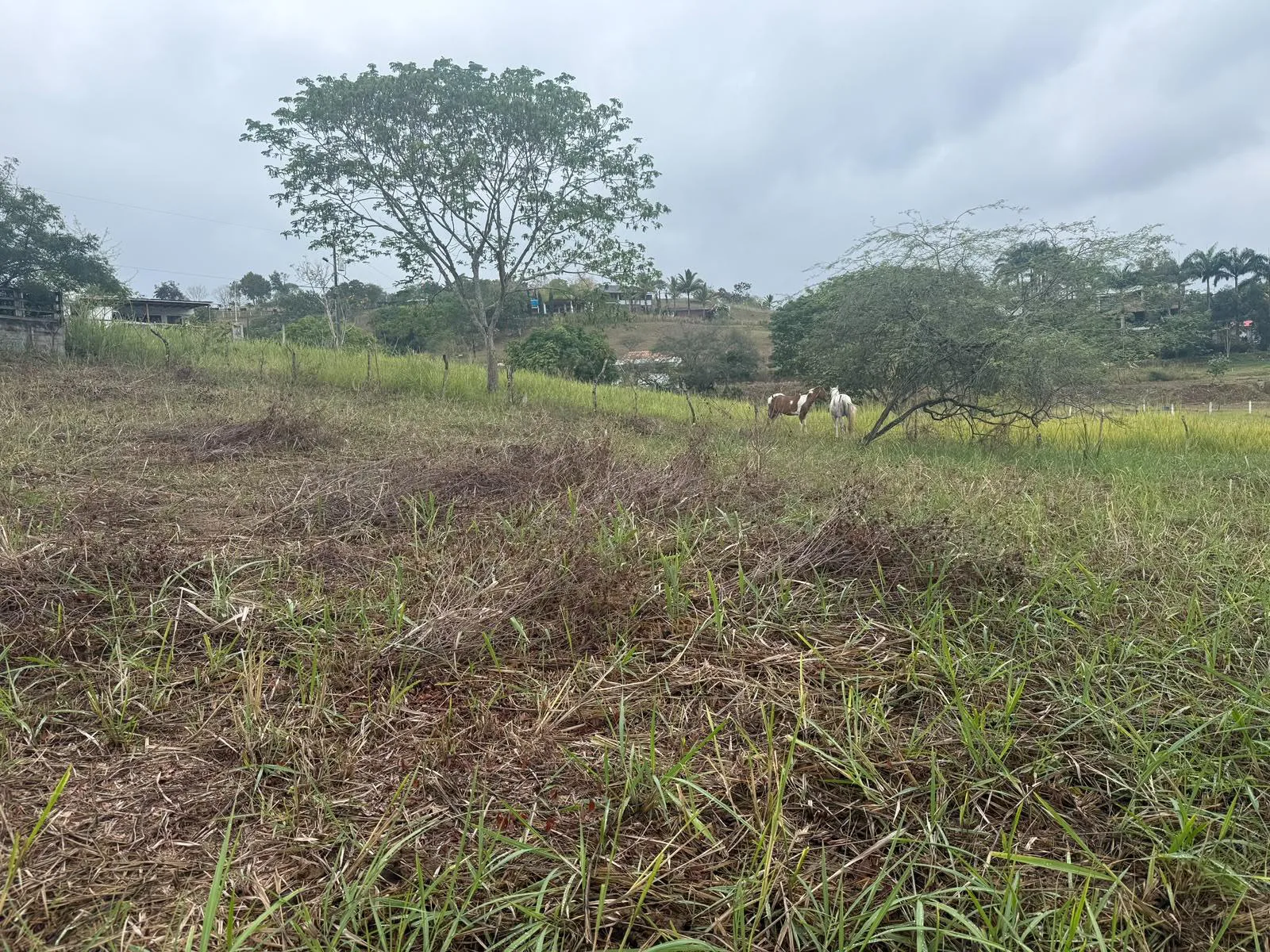 Se vende terreno en Urbanización Altos de Olón JosS