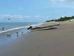 Se Vende Casa en Playas km5.8 sector el Arenal , AnaA