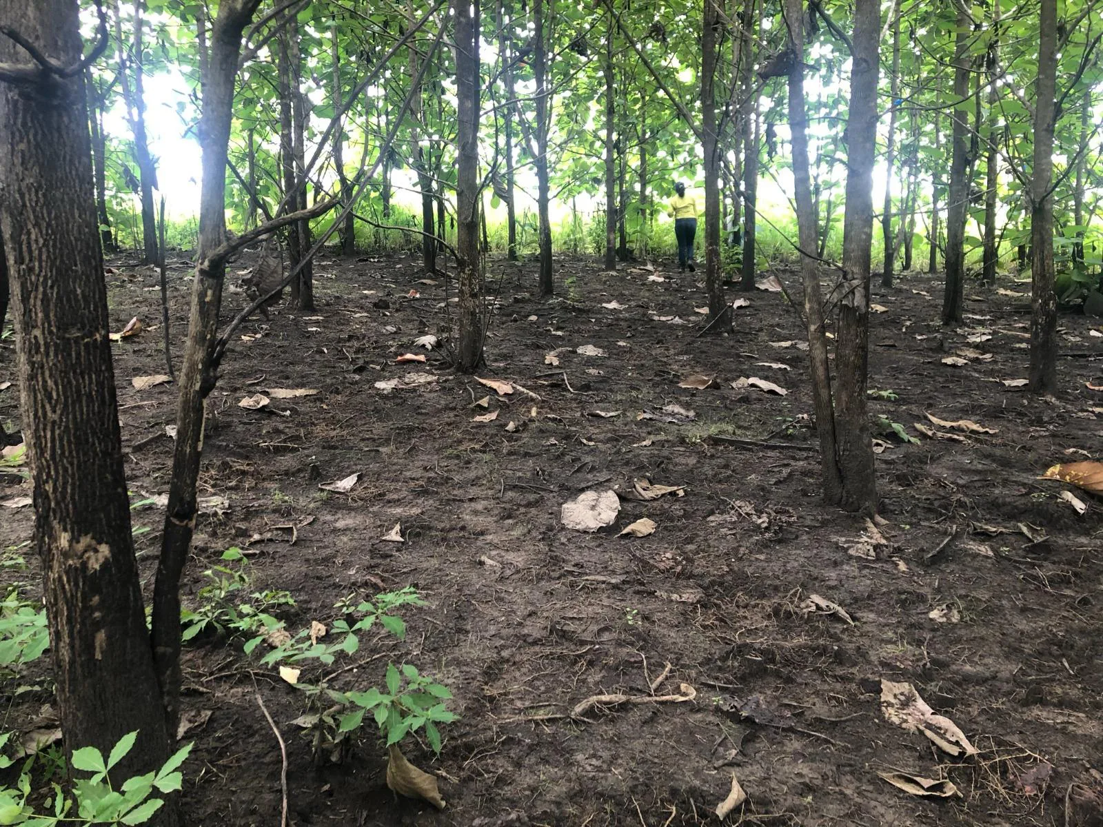Terreno en venta, via Guayas – Manabi VanC