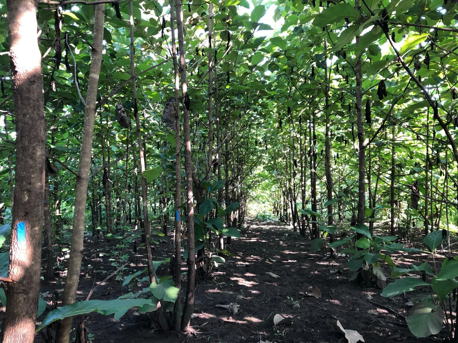 Terreno en venta, via Guayas – Manabi VanC