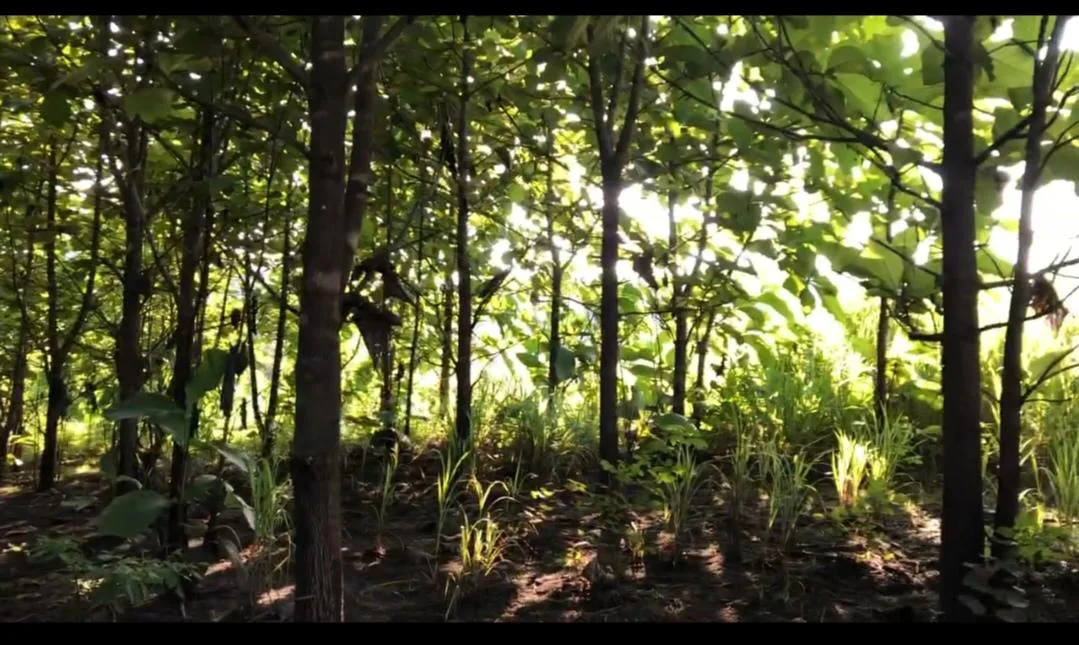 Terreno en venta, via Guayas – Manabi VanC