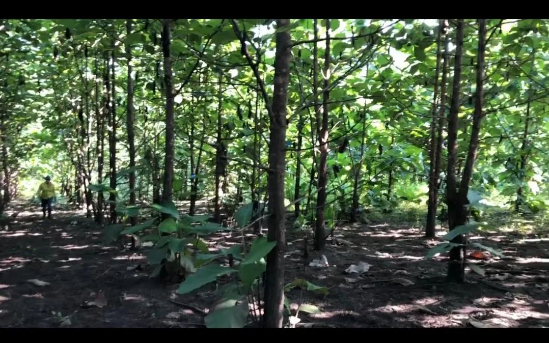 Terreno en venta, via Guayas – Manabi VanC